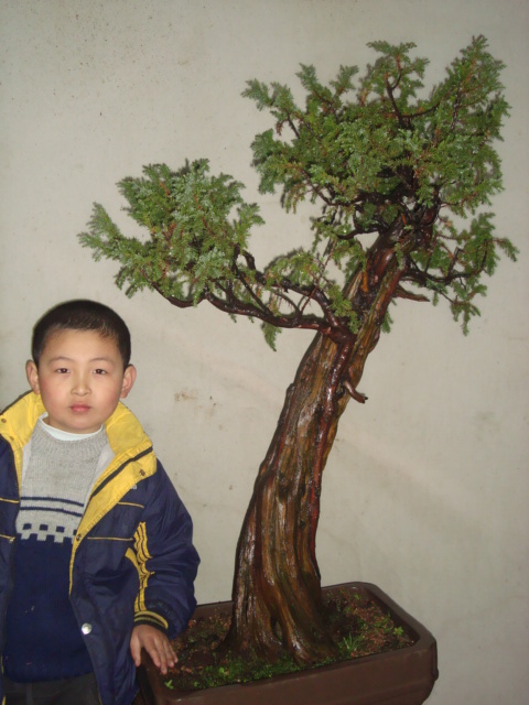 DSC06782.jpg
