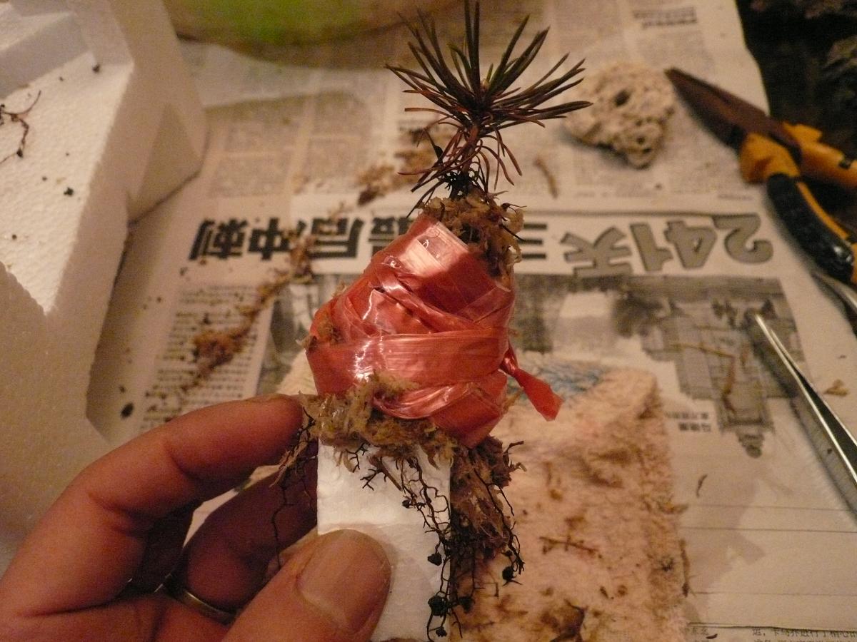 P1110744.JPG