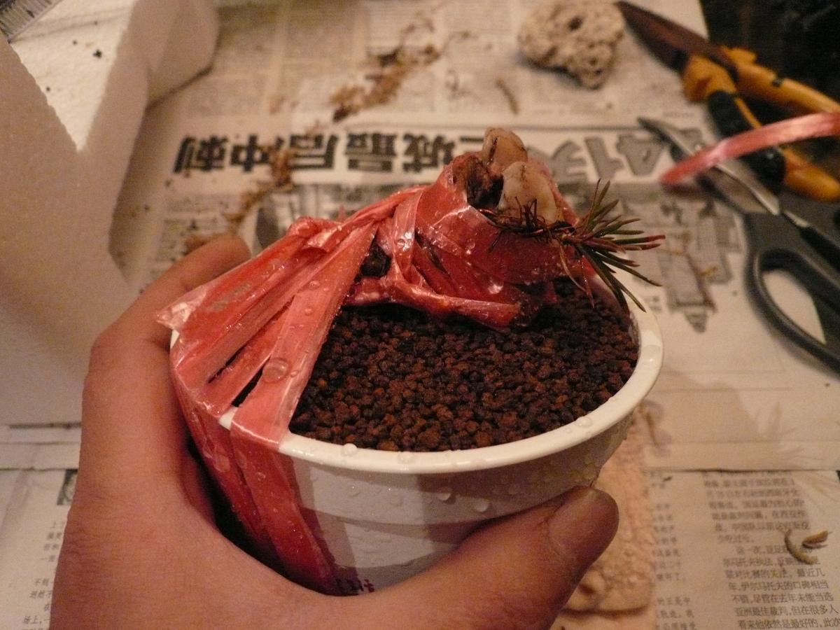 P1110740.JPG