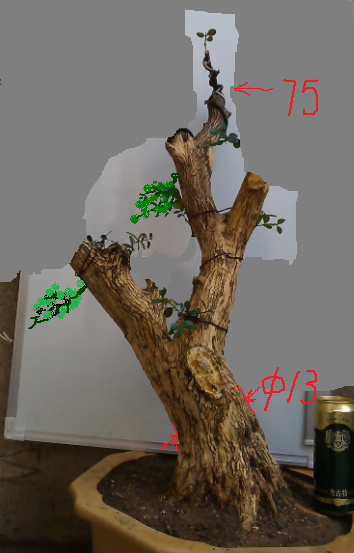 ɱ.png