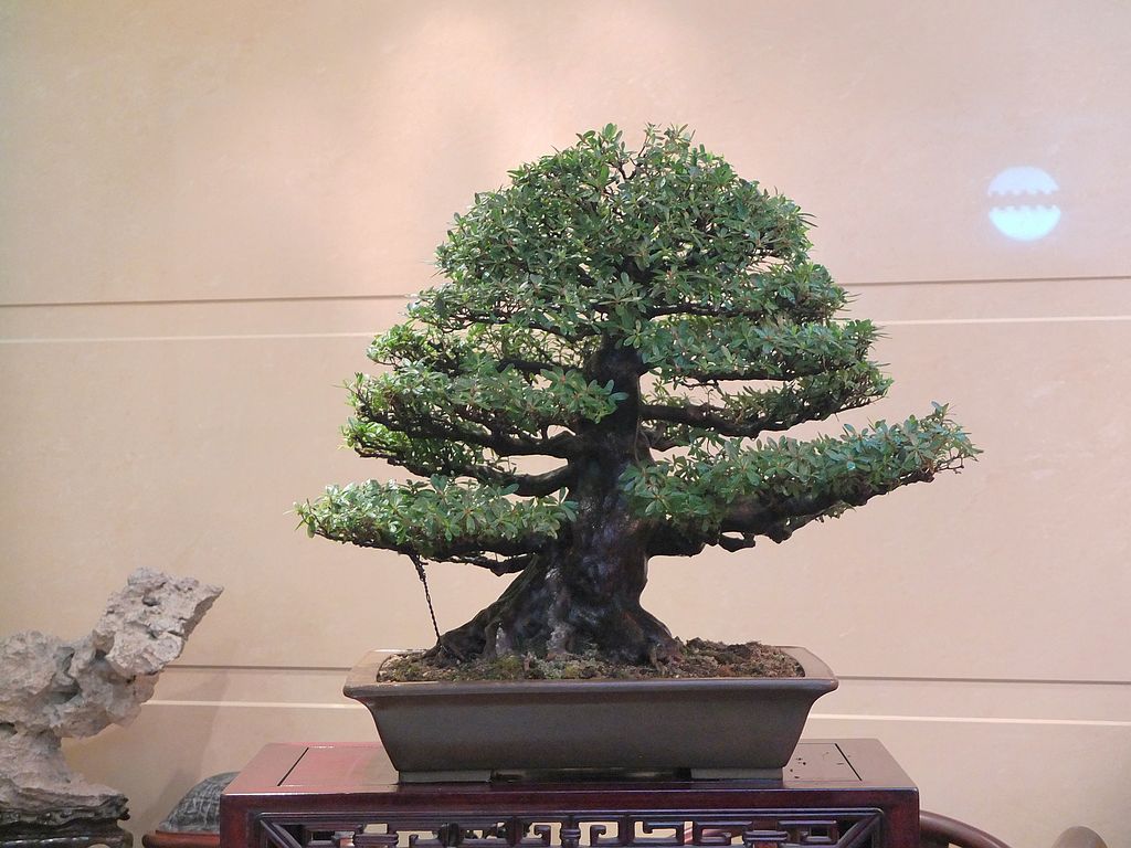 DSCF1888.jpg