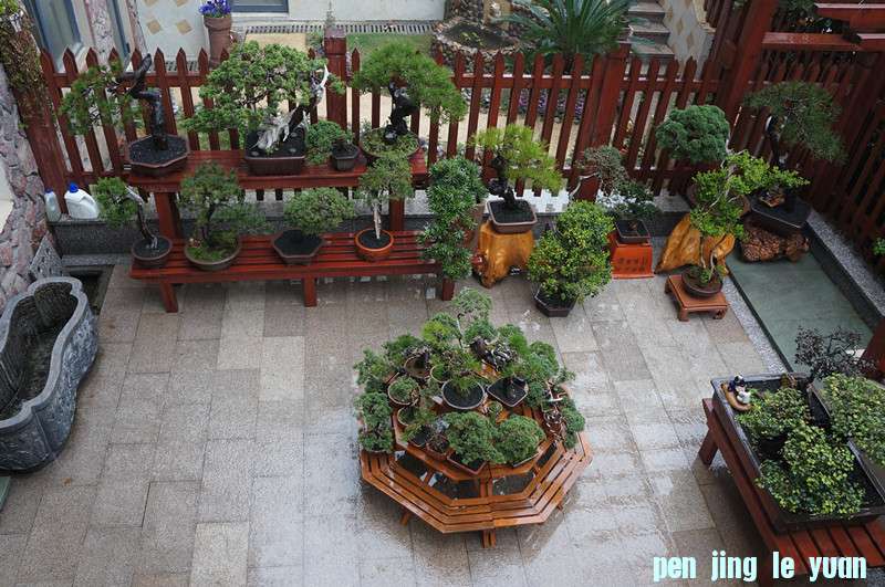 DSC01165_.jpg
