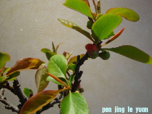 DSC02461.JPG