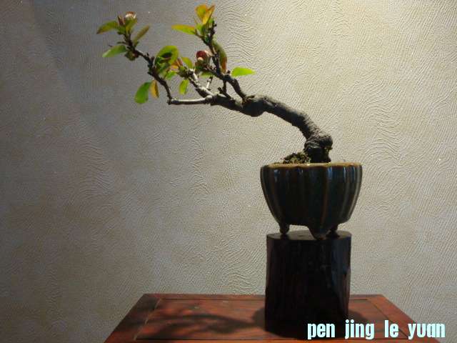 DSC02457.JPG