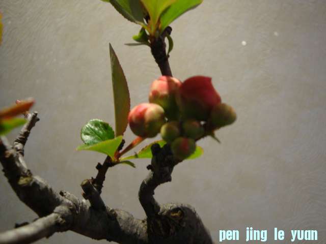 DSC02459.JPG