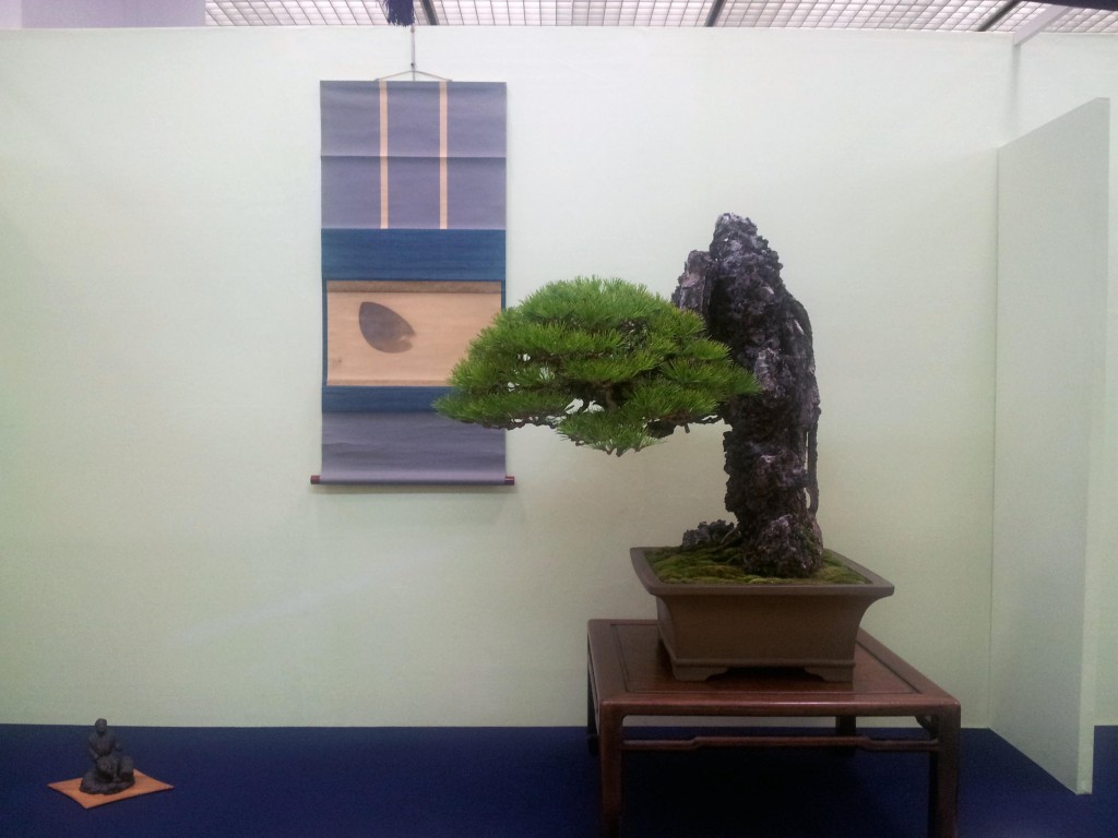 conew_20121123_093855.jpg