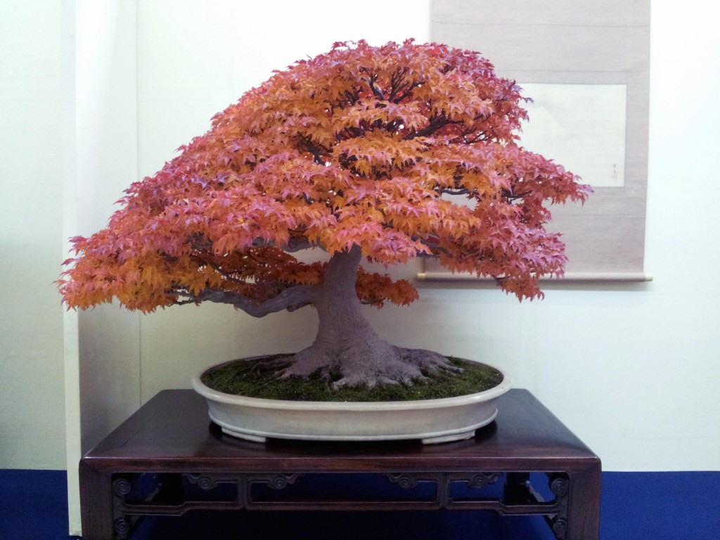 conew_20121123_095414.jpg