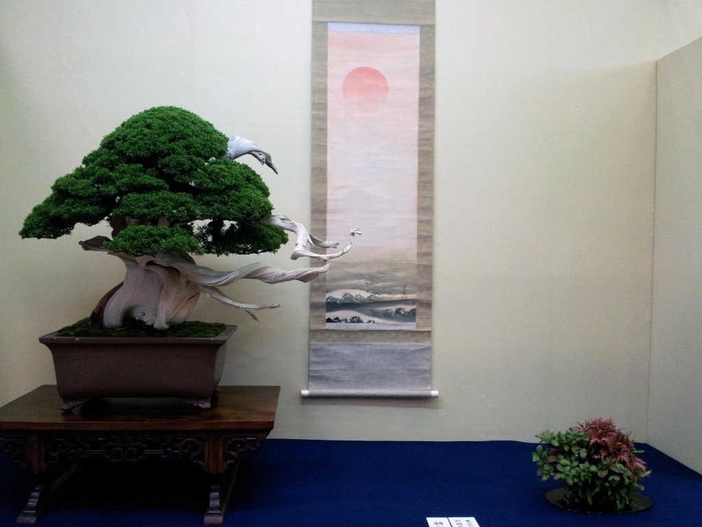 conew_20121123_095500.jpg
