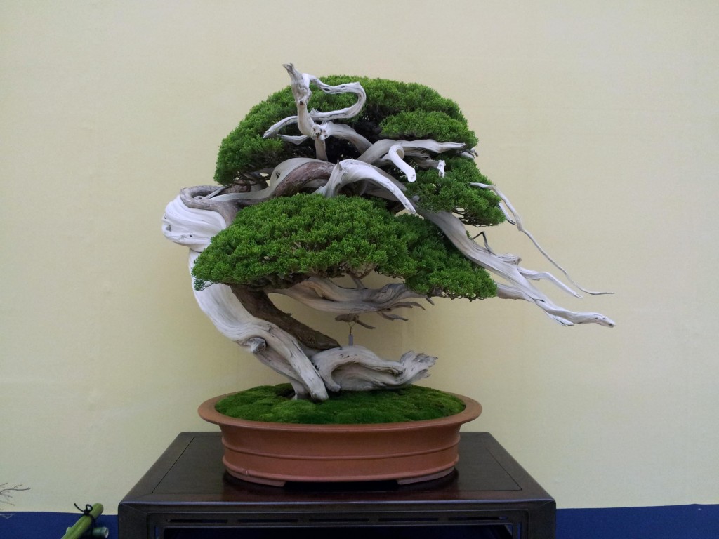 conew_20121123_095736.jpg