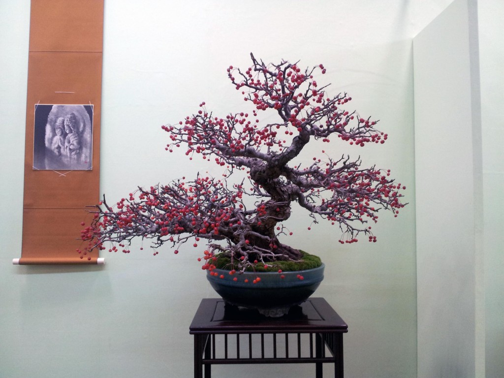 conew_20121123_120949.jpg
