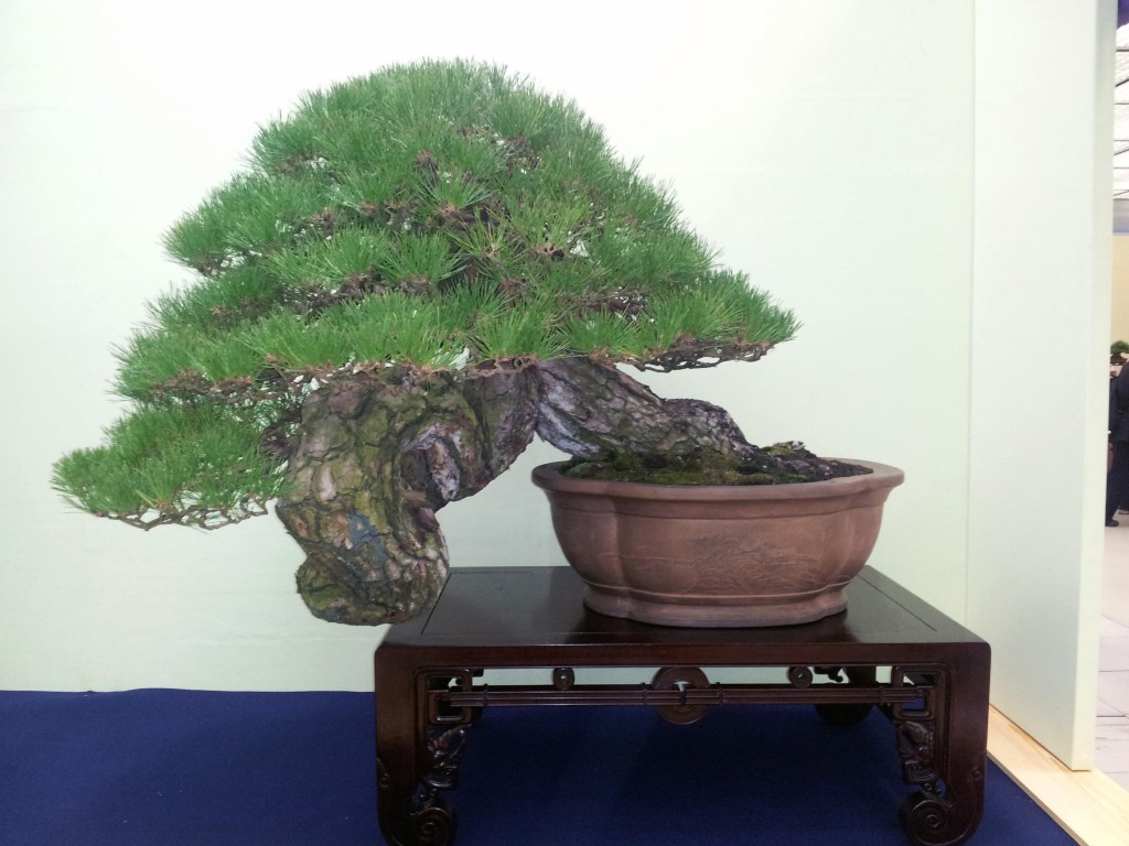 conew_20121123_121158.jpg