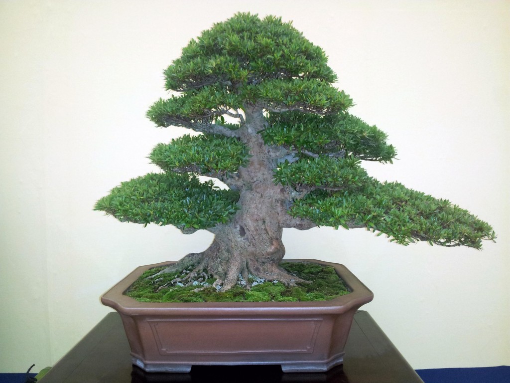 conew_20121123_121550.jpg