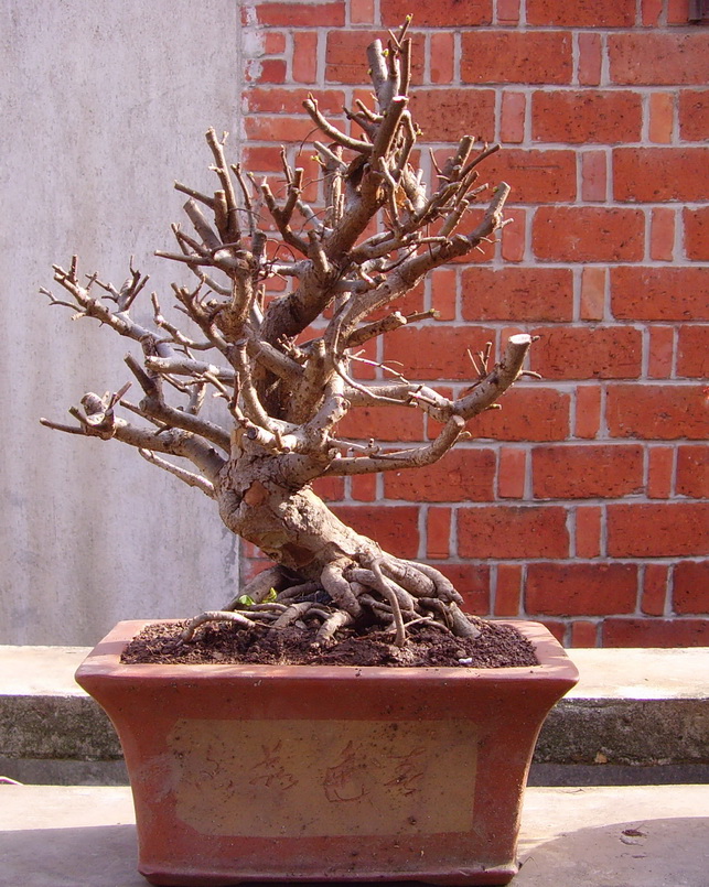 SNV39949.JPG