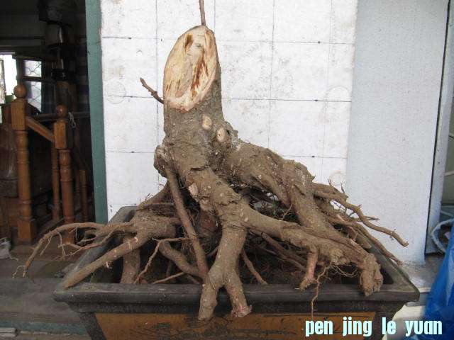 Ӷ.JPG