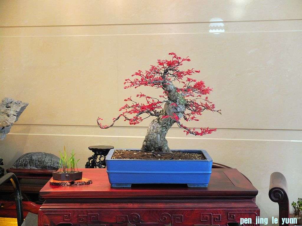 DSCF2375.jpg