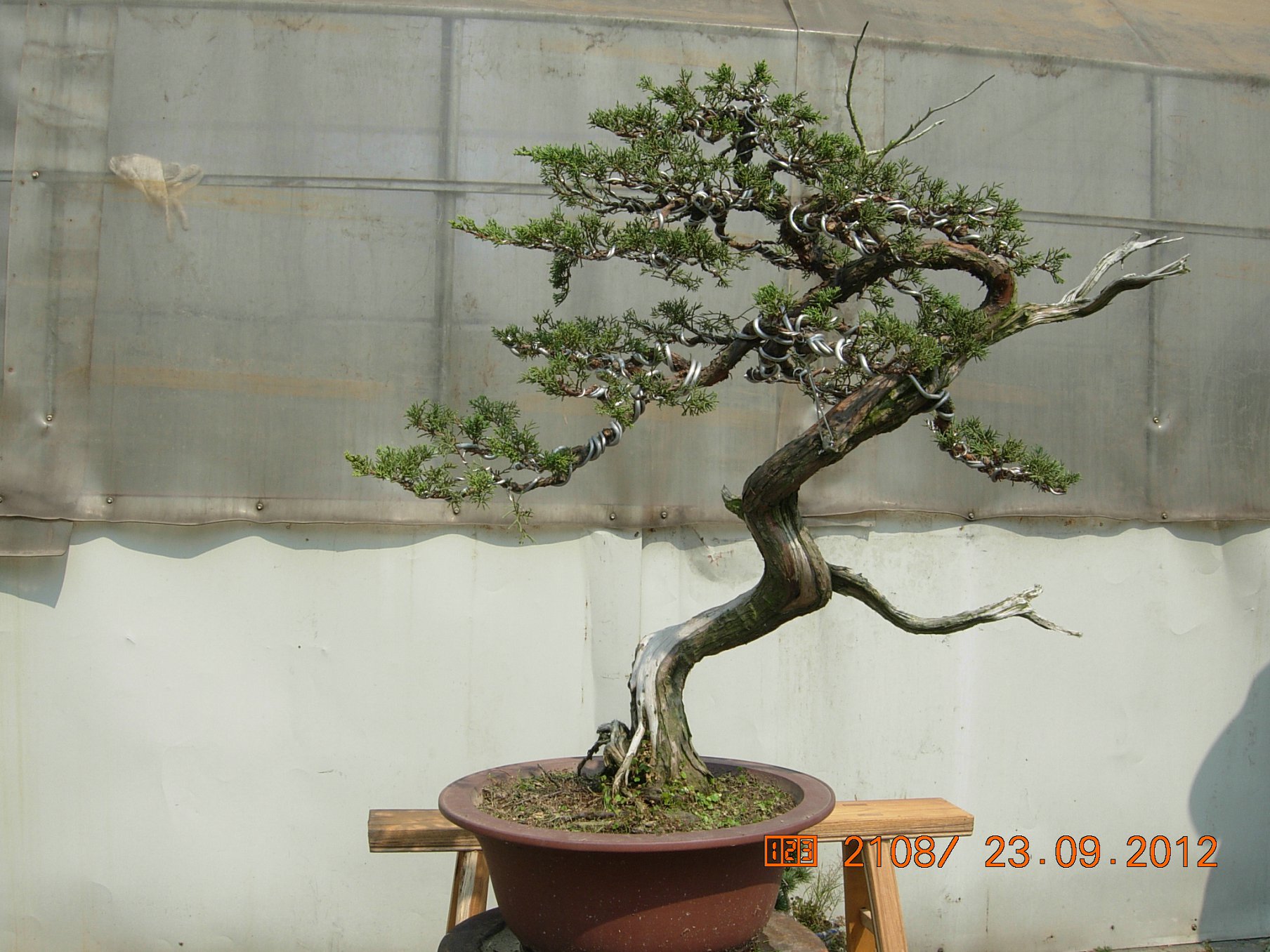 DSCN6360.JPG