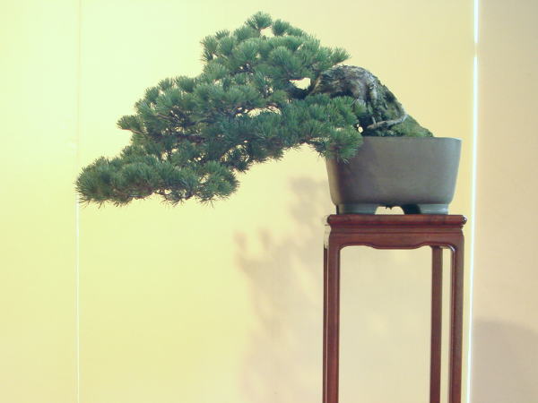 22kai-kihatikai-kamiya-yosiyuki-dai.jpg