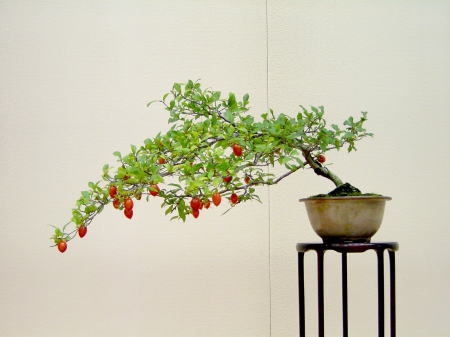 13kai-gomangoku-yamaguti-youko.jpg