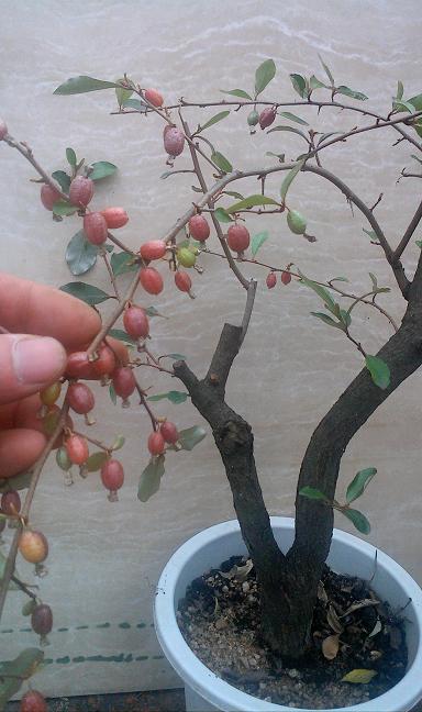 IMG0226112800.jpg