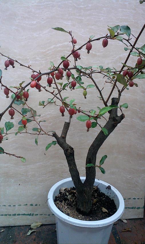 IMG0302124000.jpg
