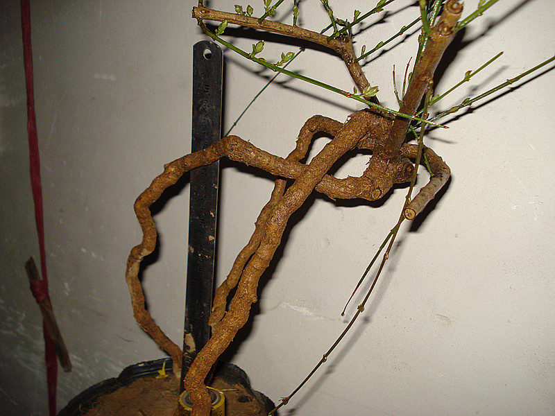 DSC04820_.jpg