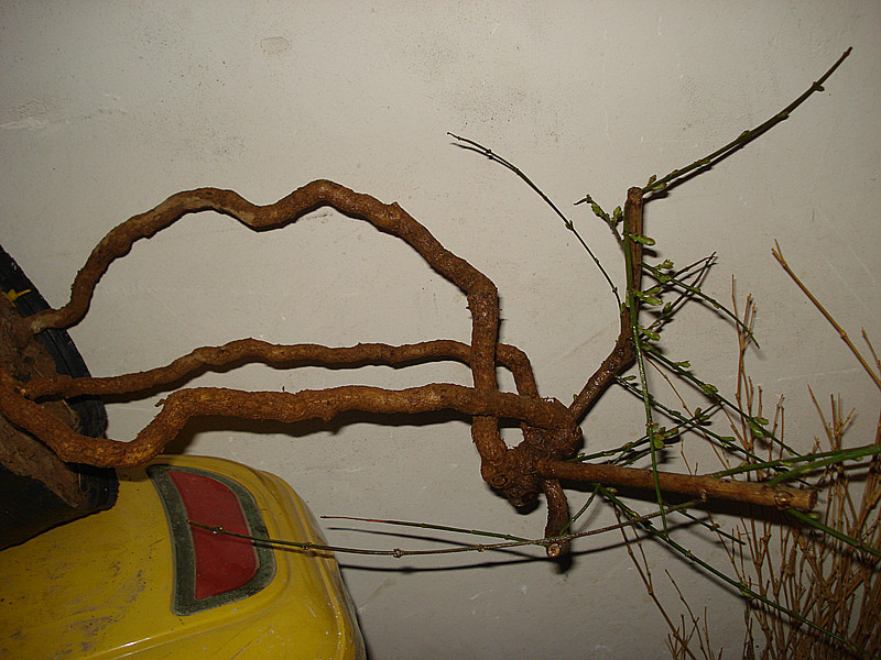 DSC04822_.jpg