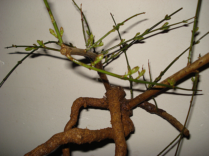 DSC04824_.jpg