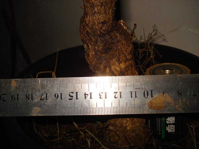 DSC04828_.jpg