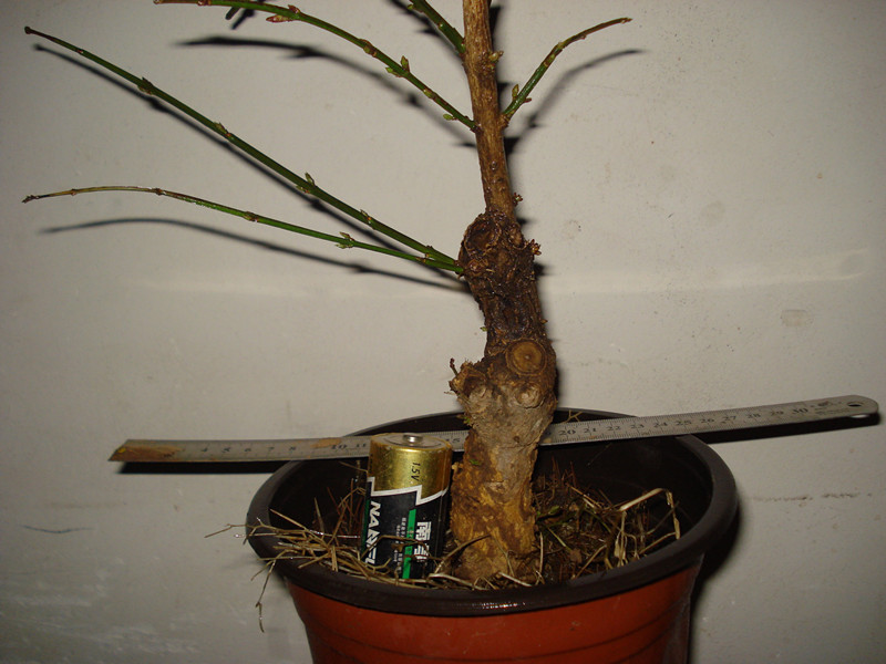 DSC04829_.jpg
