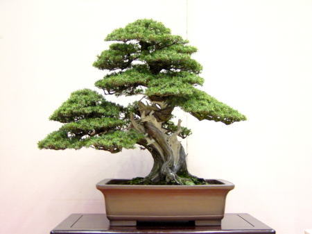 13kai-gomangoku-morisita-izumi.jpg