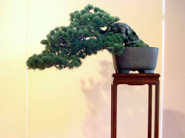 22kai-kihatikai-kamiya-yosiyuki-dai.jpg