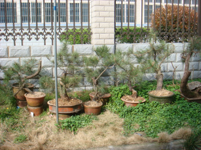DSC03062.JPG