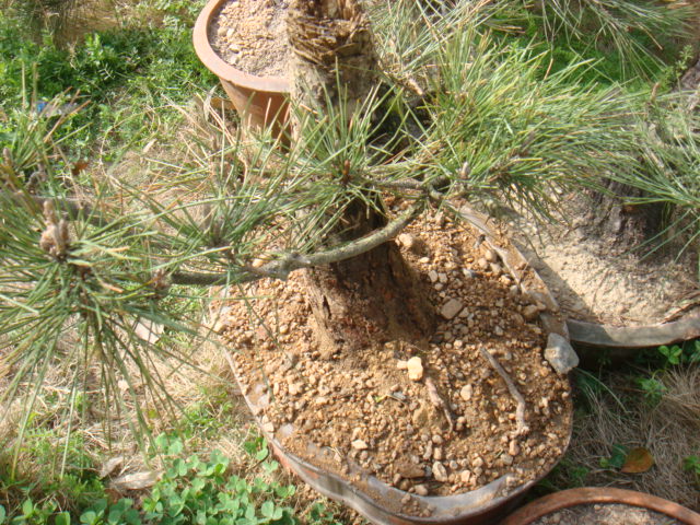 DSC03063.JPG