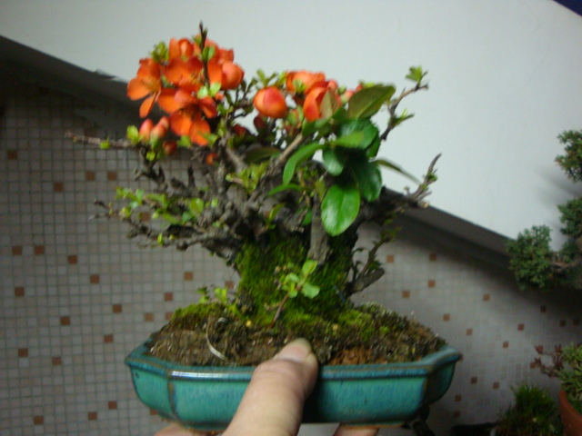 DSC02533.JPG
