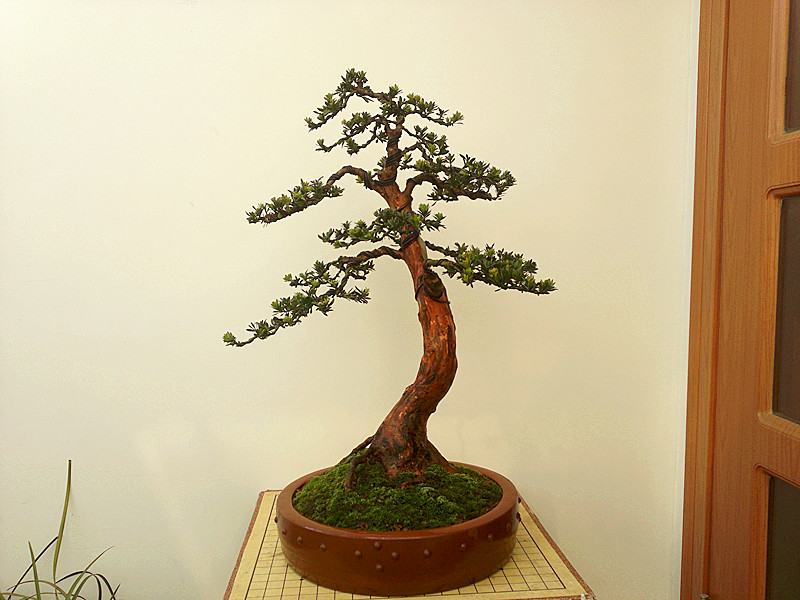 201303212626_.jpg