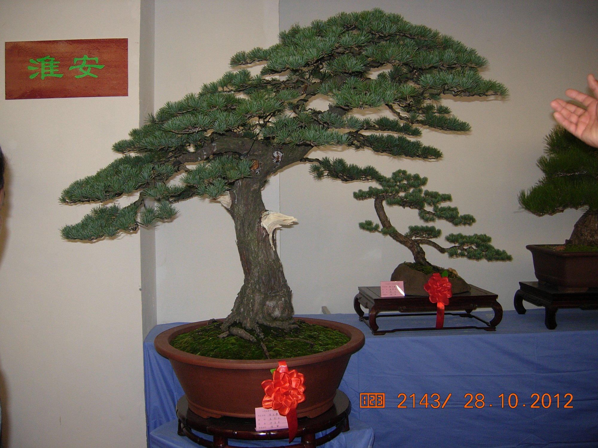 DSCN6430.JPG
