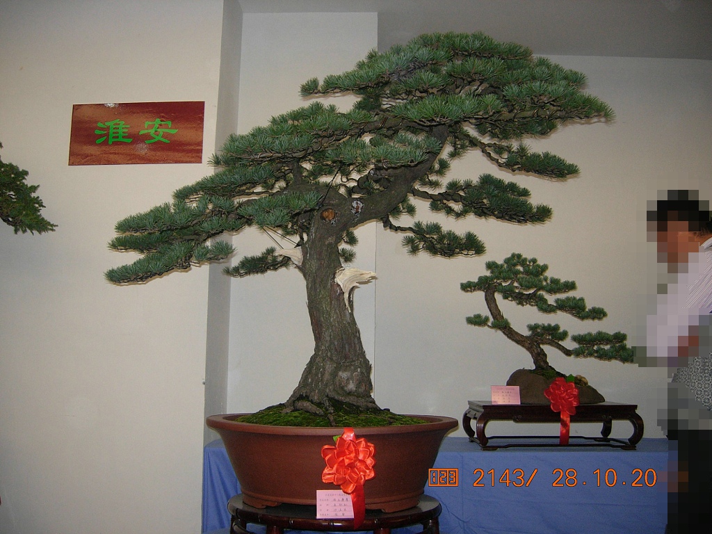 DSCN6431.JPG