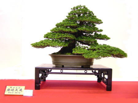 14kai-gomangoku-iwasaki-ookura-dai.jpg