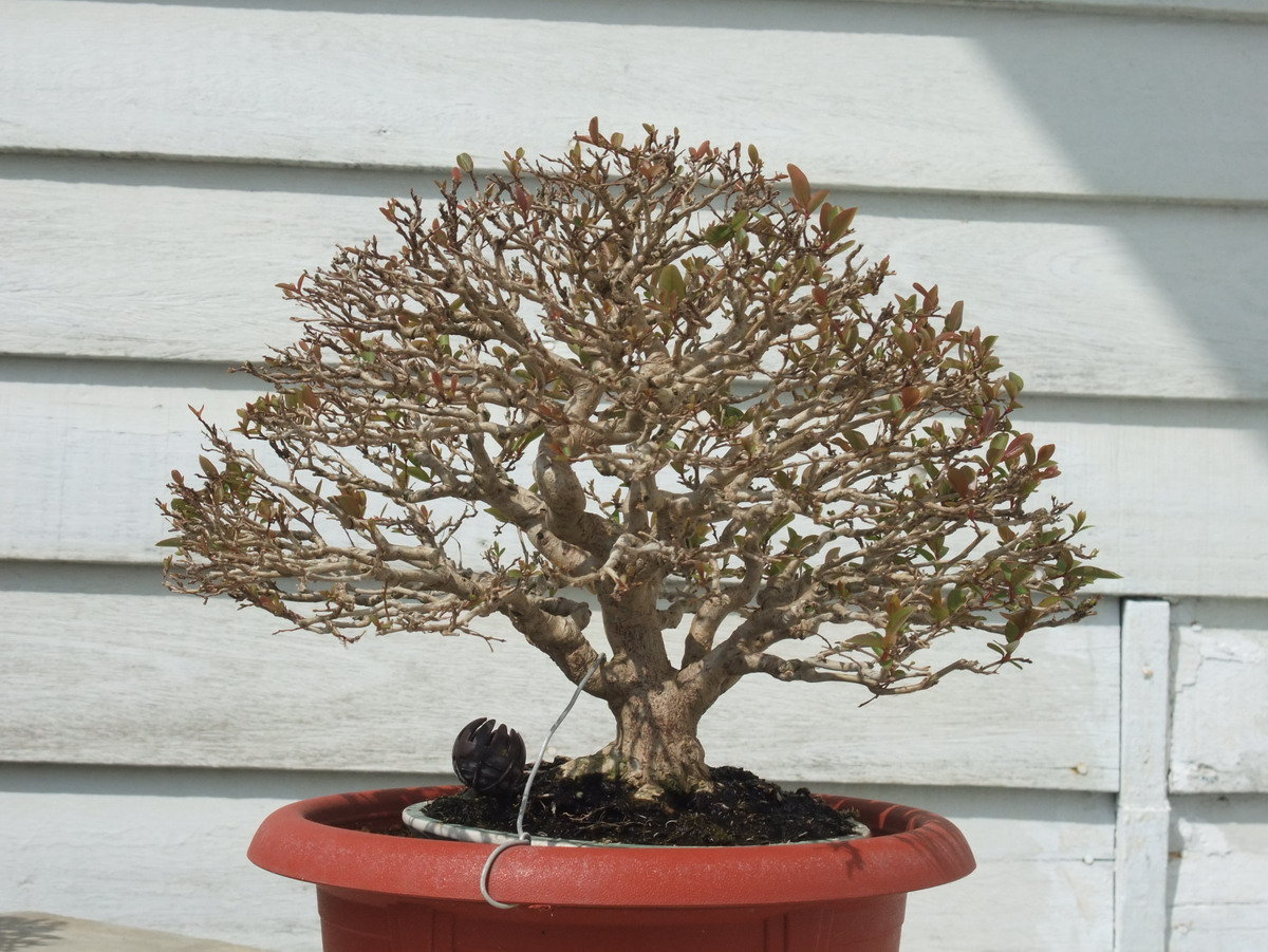 F23_20110311084703305.jpg