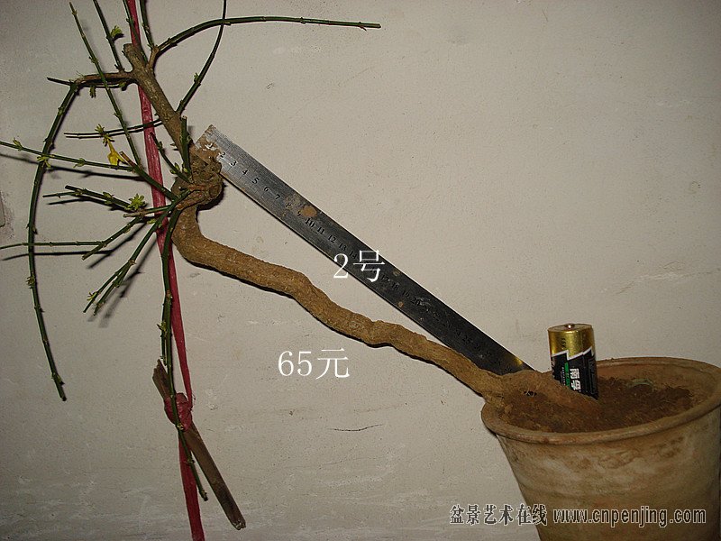 201225smigkdmd2ri2xlai.jpg