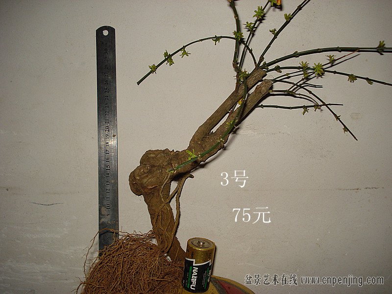 201234drjgag1j6vvzaozr.jpg
