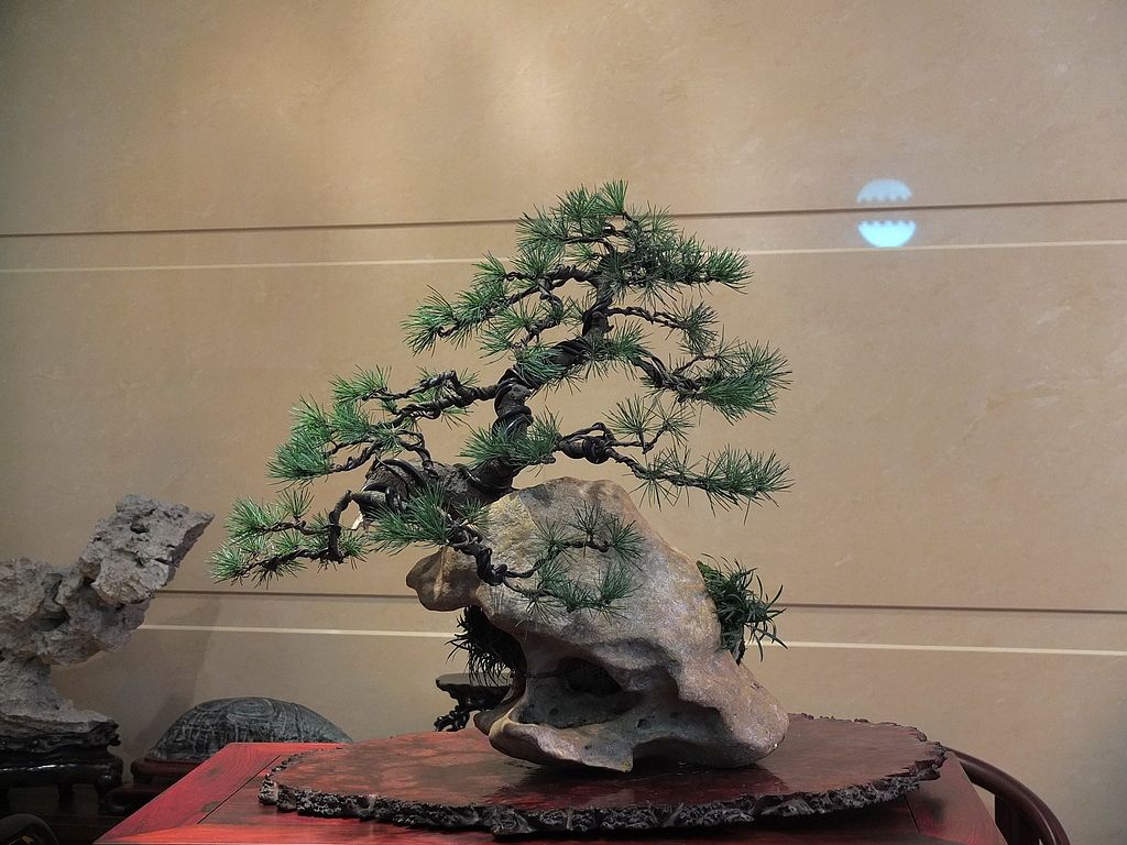 DSCF2584.jpg