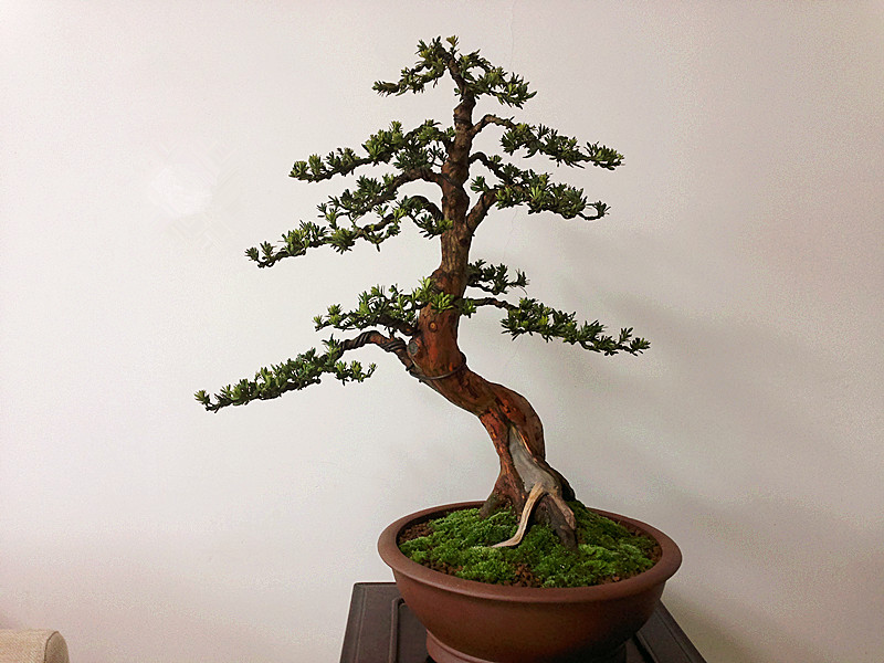 201303232631_.jpg