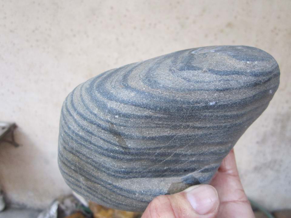 ղʯ֮һ 1069.jpg