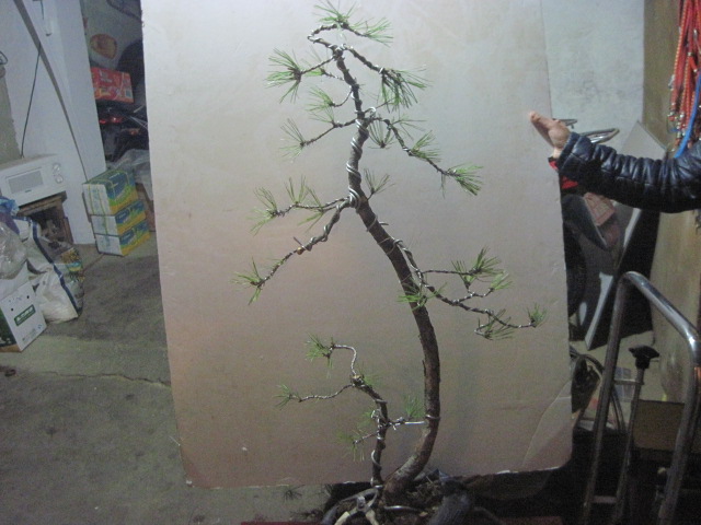 20130323 001.jpg