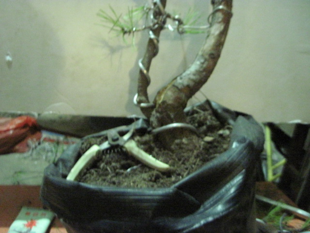 20130323 002.jpg