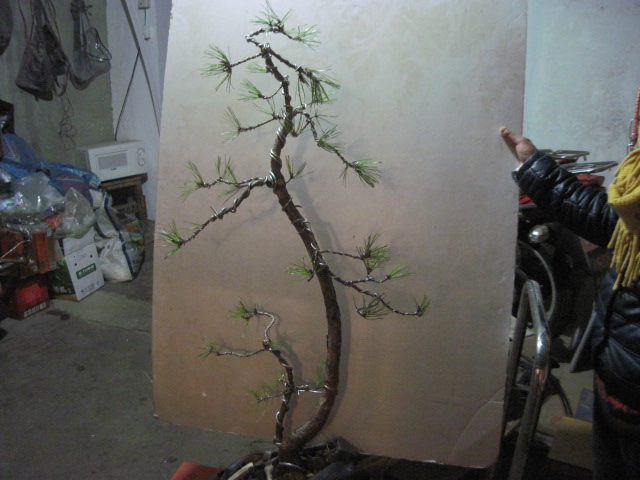 20130323 003.jpg