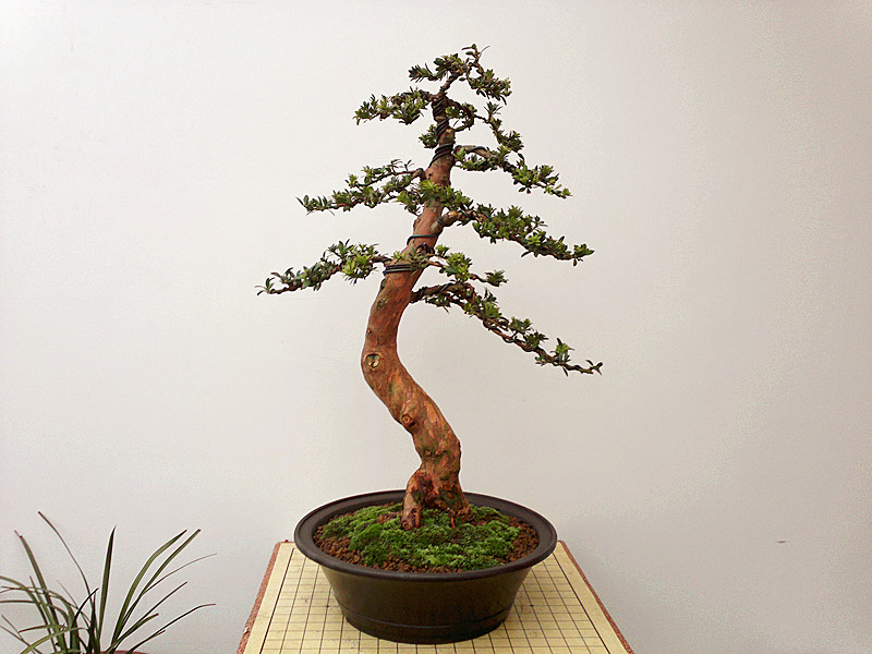 201303242634_.jpg
