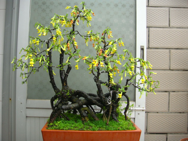 DSC07345.JPG