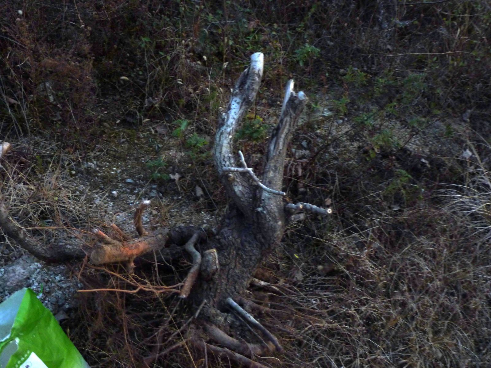 P10205201.jpg